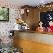 Vien Dong Hotel 6 - South Saigon Hotel