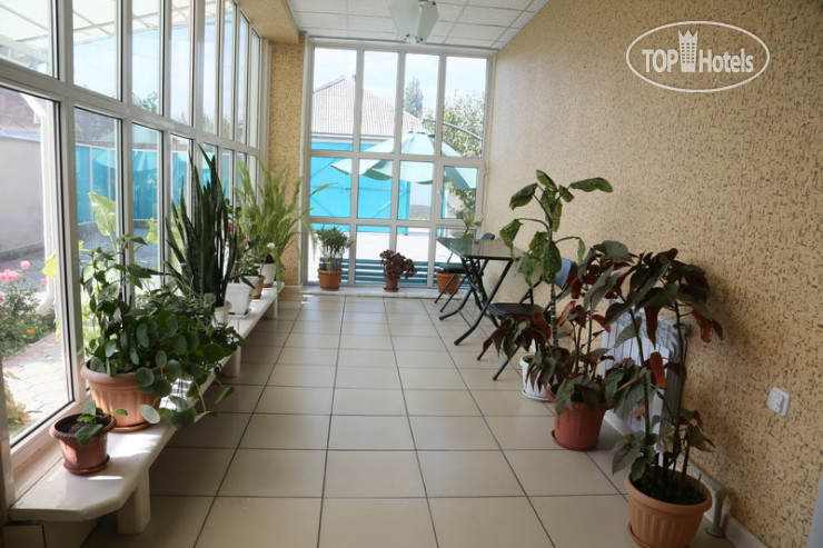New photos from tourists Элита