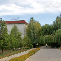 Тулпар