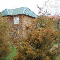 Тулпар