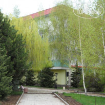 Тулпар