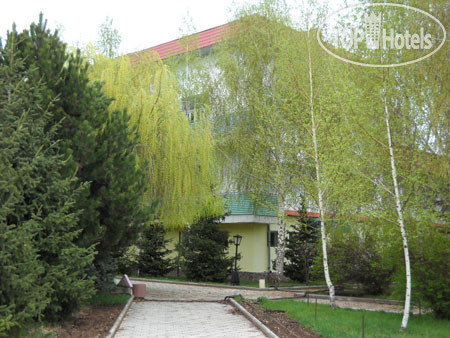 Тулпар