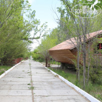 Байсан