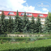 Altin Zhai  