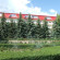 Altin Zhai  