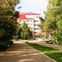 Altin Zhai  