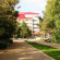 Altin Zhai  