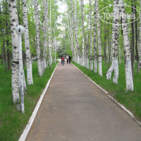 Олимп (закрыт) 