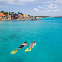 Divi Flamingo Beach Resort and Casino