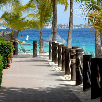 Harbour Village Beach Club
