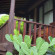 Photos Harum Meno Bungalow