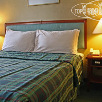 The Paragon Hotel Jakarta