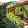 Monginsidi Guest House 