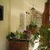 Monginsidi Guest House 