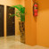 Rumah Shinta 