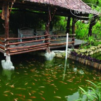 Pondok Gajah Homestay 