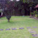 Dafam Kayon Resort Solo 