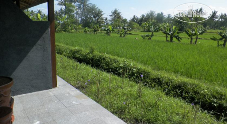 New photos from tourists Puri Menoreh Hotel & Restaurant 2*