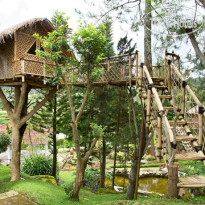 Bamboo Village By Villa