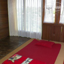 Villa Rumah Kayu Organic 