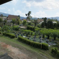 Villa Rumah Kayu Organic 