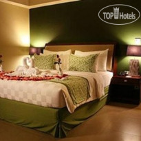Swiss-Belhotel Rainforest