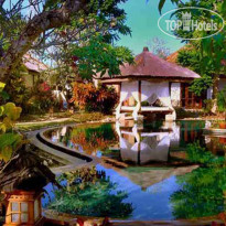 Mimosa Resort & Spa Отель