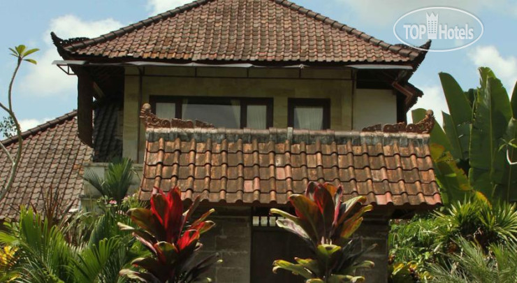 New photos from tourists Garden View Cottages 2*