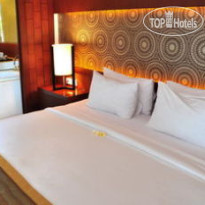 U Agathis Pecatu Bali 