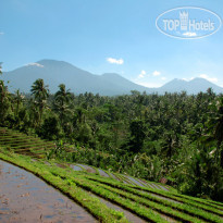 Kelapa Retreat & Spa