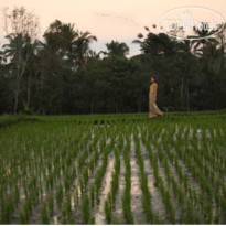 Adiwana Resort Jembawan 