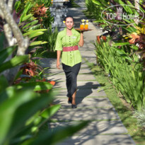 The Khayangan Dreams Villa Kerobokan Сад