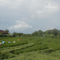 The Widyas Luxury Villa 