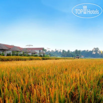 Alam Puisi Villa