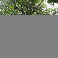 Grand Balisani Suites