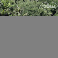 Bidadari Private Villas & Retreat 