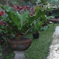 Bali Village Villa