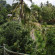 Bali Village Villa 