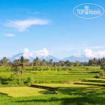 The Lokha Ubud 