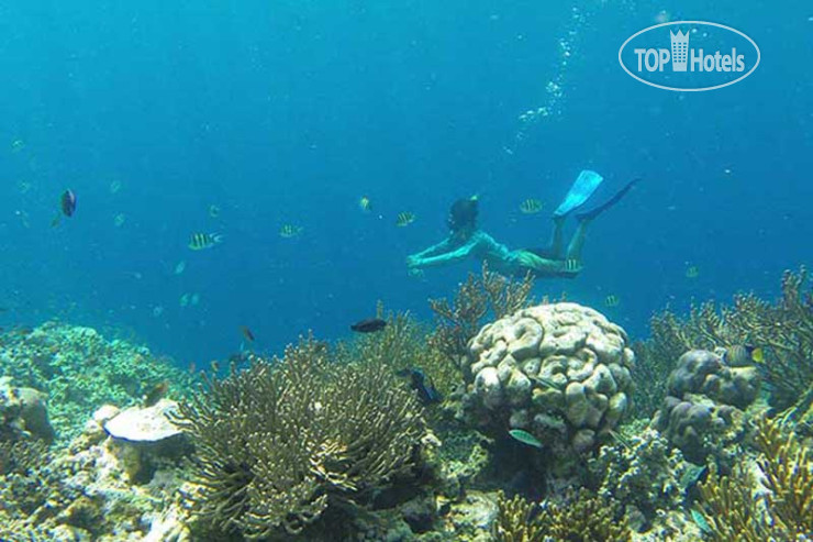 New photos from tourists Adi Assri Beach Resort 4*