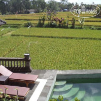 Alas Green Lagoon Guest House