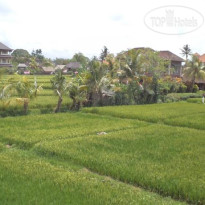 Alas Green Lagoon Guest House
