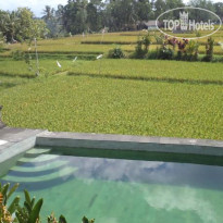 Alas Green Lagoon Guest House