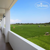 Cozy Stay Bali