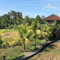 Bisma Sari Resort