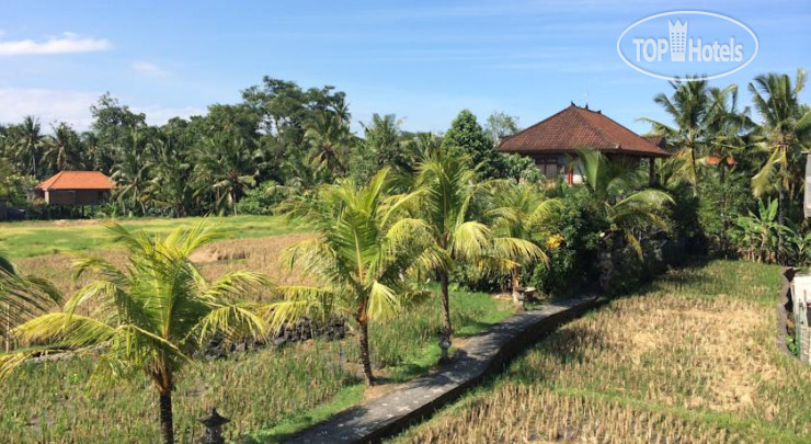New photos from tourists Bisma Sari Resort 3*