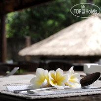 Ayu Guna Resort