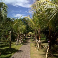 Ayu Guna Resort