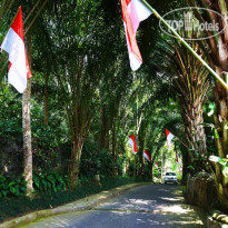Ayung Resort Ubud 