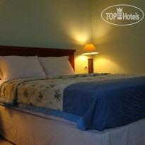 Dao Kubu Pratama Homestay